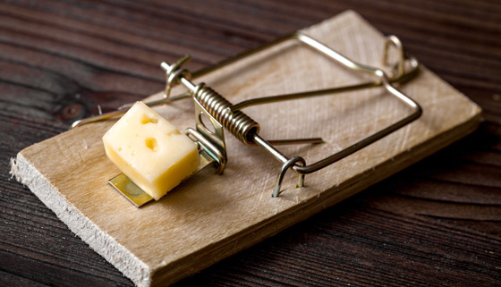 Social and experiential training – Rodrepel™ mechanism