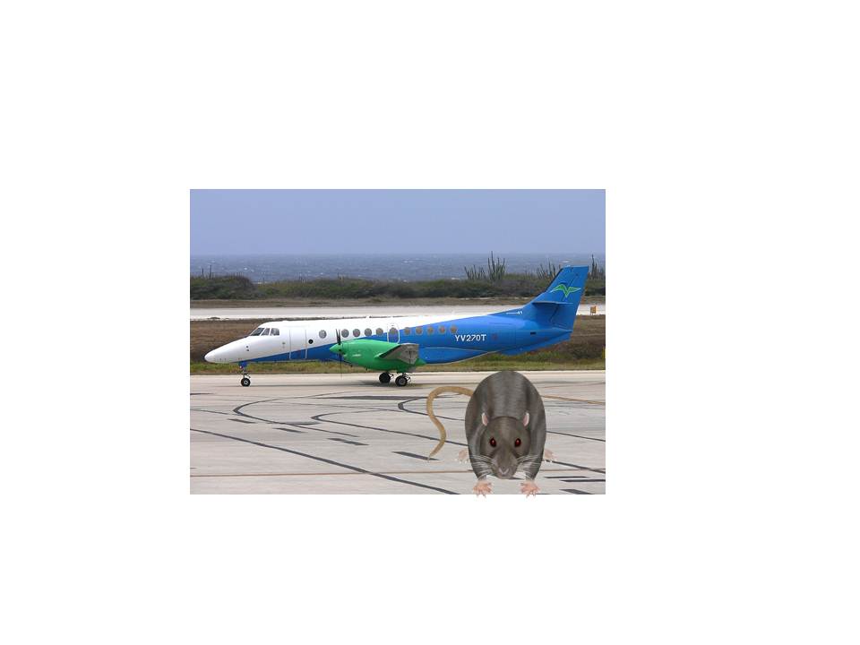 Not VIP’s but still managed to cancel the flights- The rats!